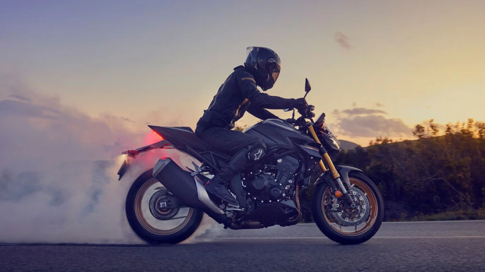 Hondahornet 1100 02jpg